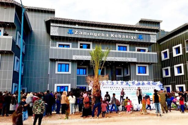 kobani universitesi yeni bina medya kurd